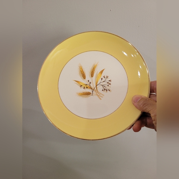 Autumn Gold 7 1/4" Dinner Plate by Century Service - Picture 5 of 6